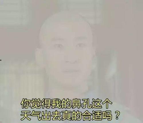 聚众吸毒表情包,揭示网络文化中的隐秘现象