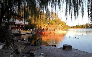 于园之前的背景,从平凡起点到璀璨星辰的逆袭传奇