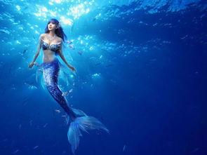 美人鱼唯美图片