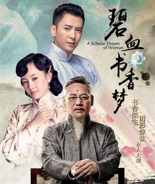 碧血书香梦 背景,一场跨越时空的传奇之旅